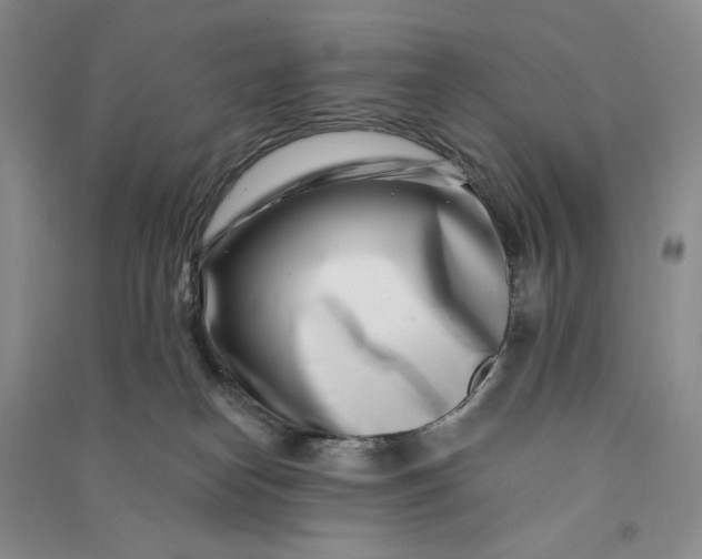 X0000090870182200708171633