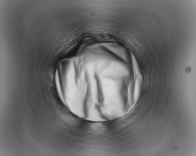 X0000090870183200708171633