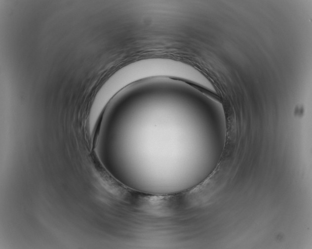 X0000090870184200708171633