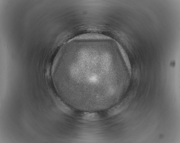 X0000090870185200708171633