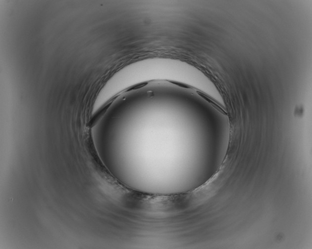 X0000090870186200708171633