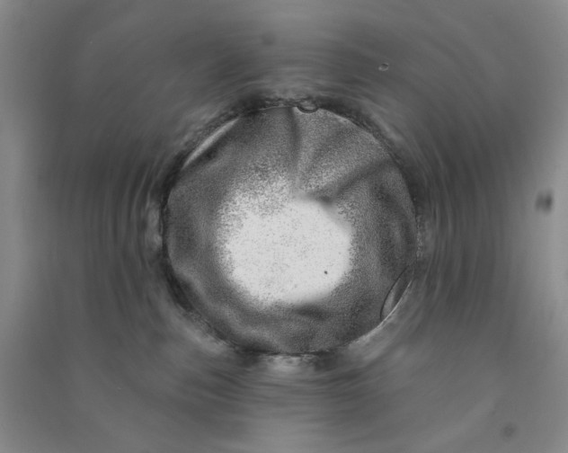 X0000090870187200708171633