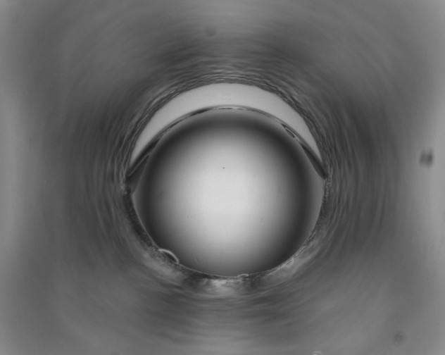 X0000090870188200708171633