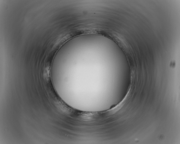 X0000090870190200708171633