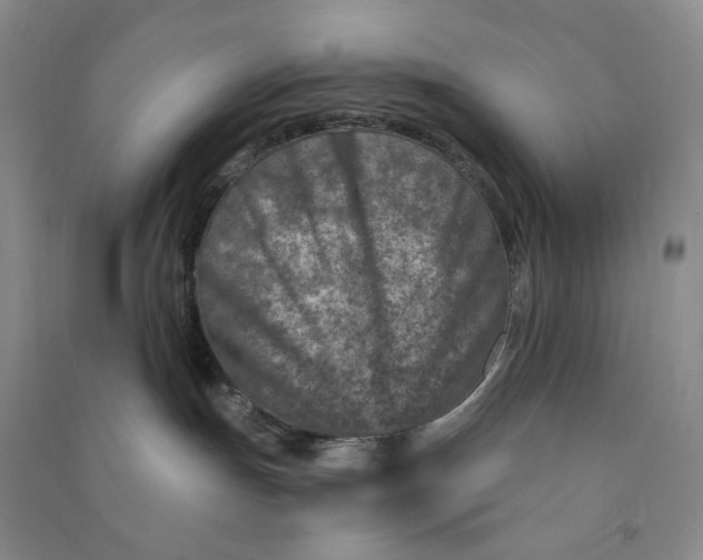 X0000090870191200708171633