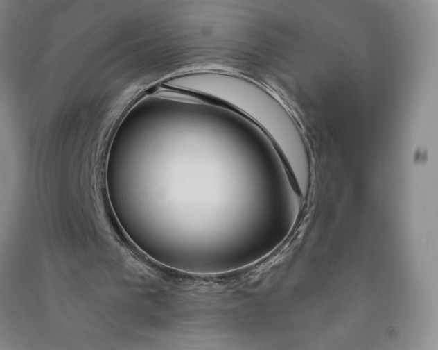 X0000090870193200708171632