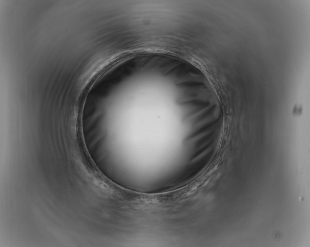 X0000090870194200708171632