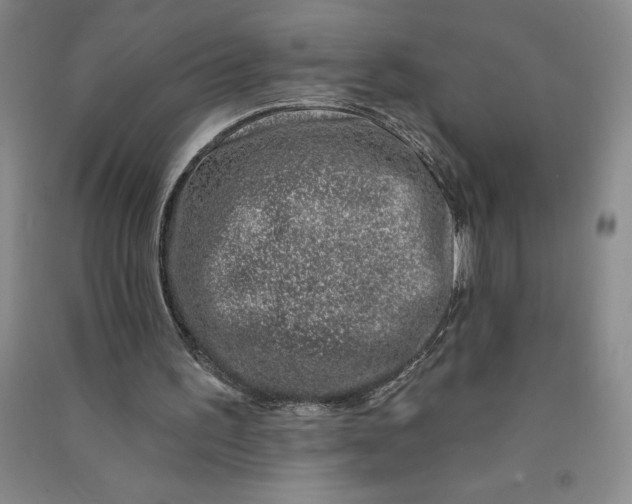 X0000090870195200708171632