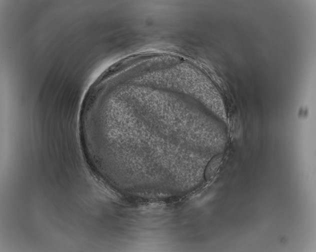 X0000090870196200708171632