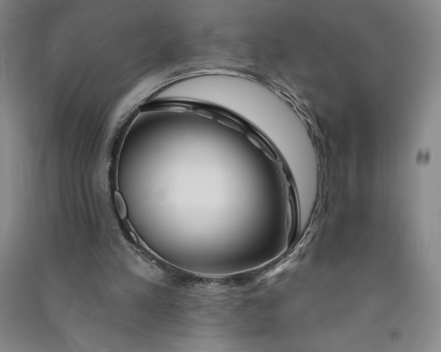 X0000090870197200708171632