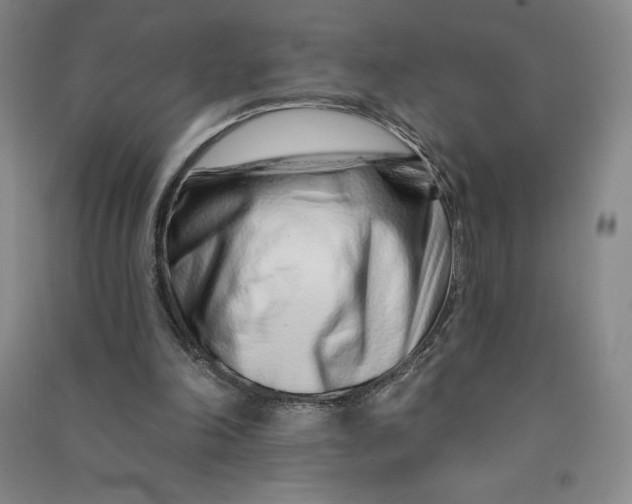 X0000090870198200708171632