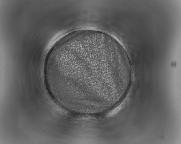 X0000090870199200708171632