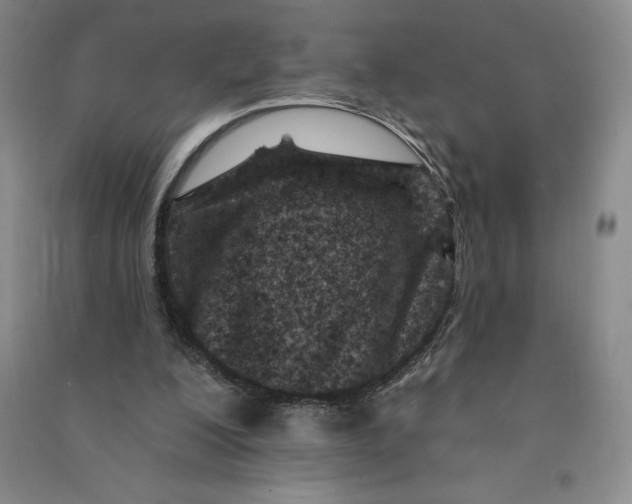 X0000090870200200708171632