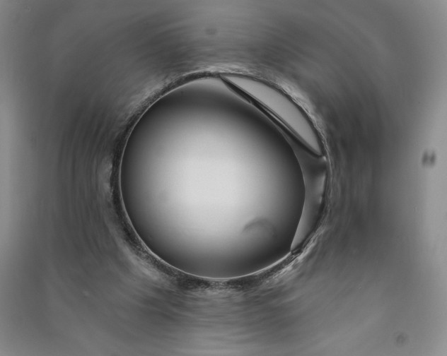 X0000090870201200708171632