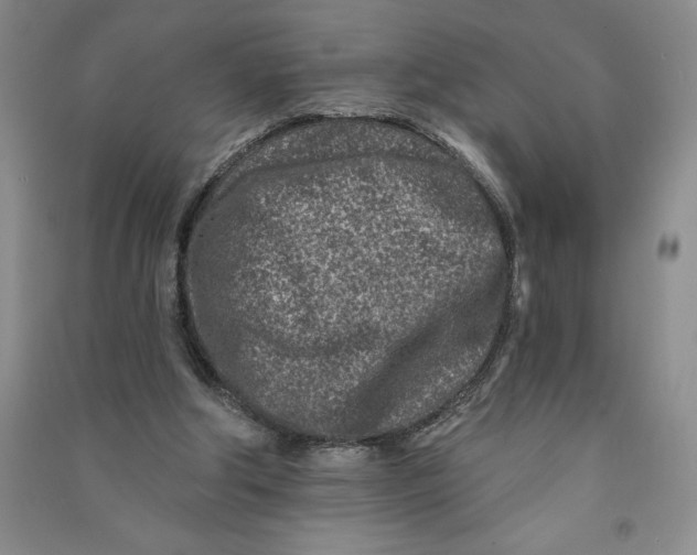 X0000090870202200708171632