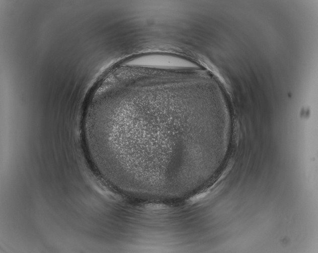 X0000090870203200708171632