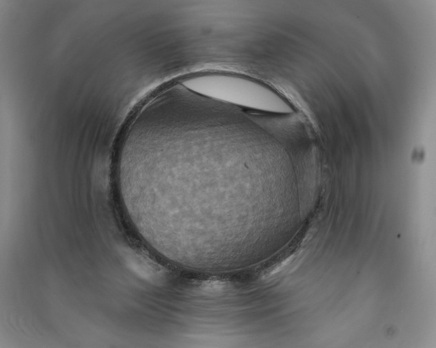 X0000090870204200708171632