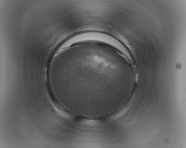 X0000090870205200708171632