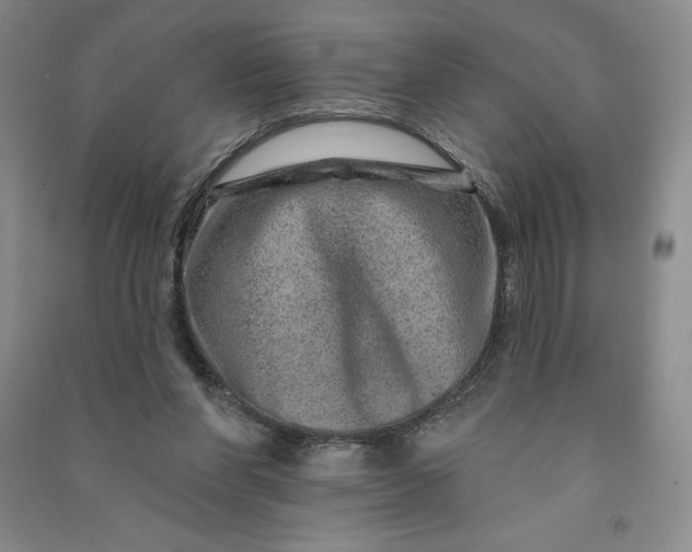 X0000090870206200708171632