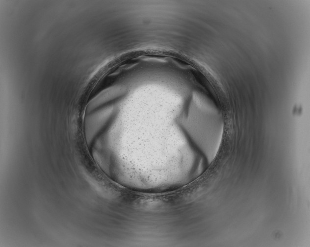 X0000090870208200708171632