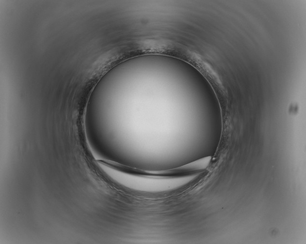 X0000090870209200708171632