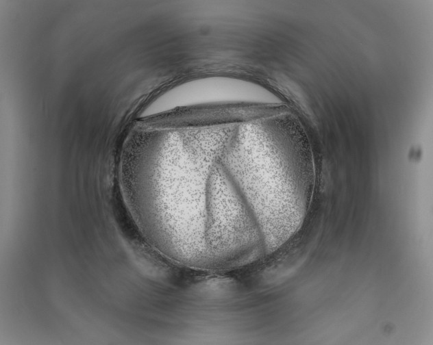 X0000090870210200708171632