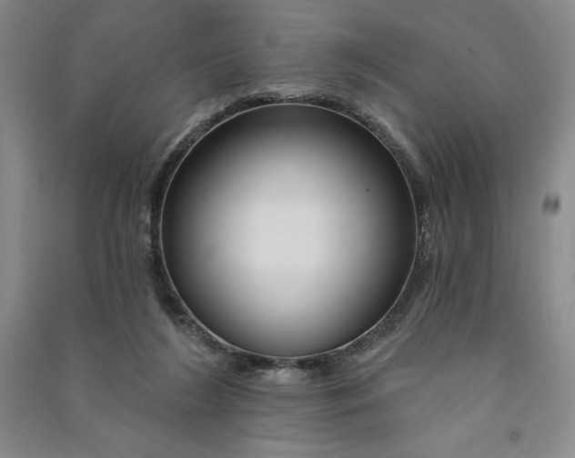 X0000090870212200708171632