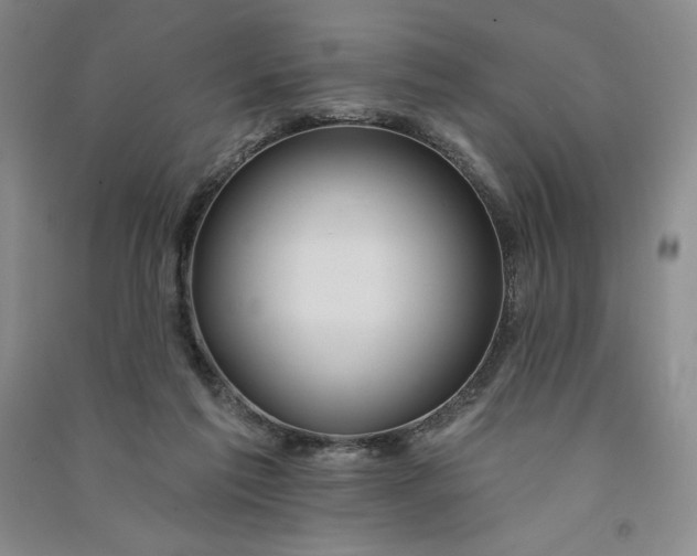 X0000090870213200708171632