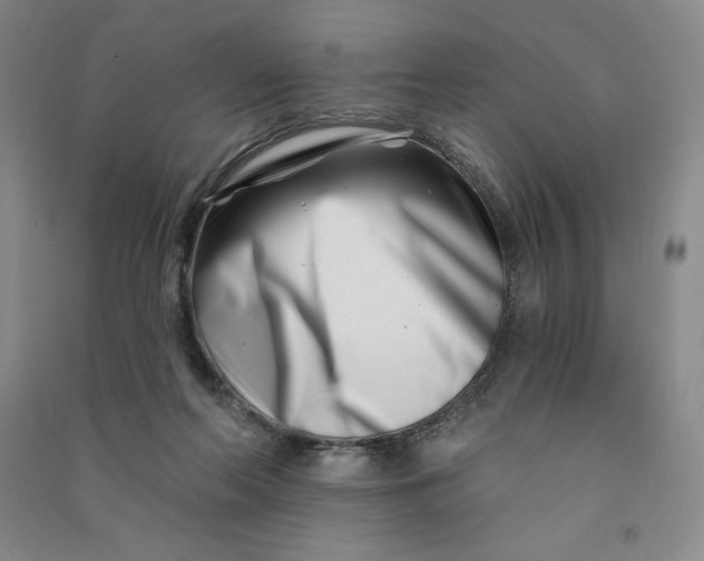 X0000090870214200708171632