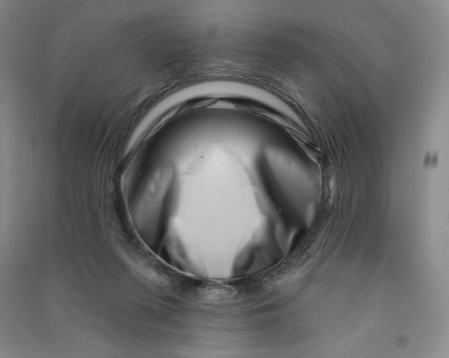 X0000090870215200708171632