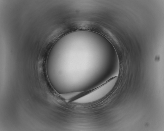 X0000090870217200708171632