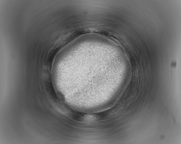 X0000090870218200708171632