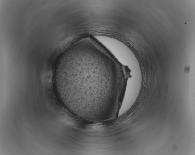 X0000090870219200708171632