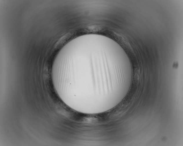 X0000090870220200708171632