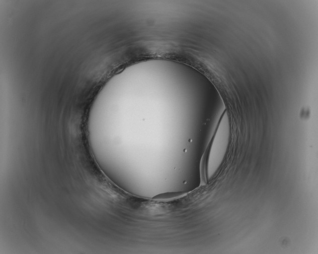 X0000090870221200708171632