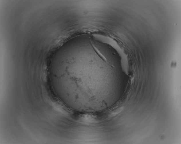 X0000090870223200708171632