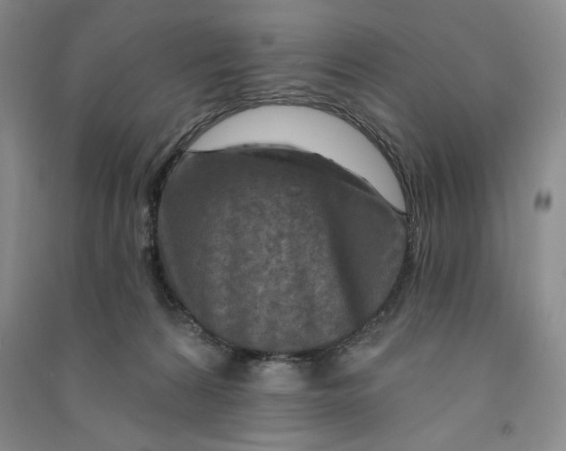 X0000090870224200708171632