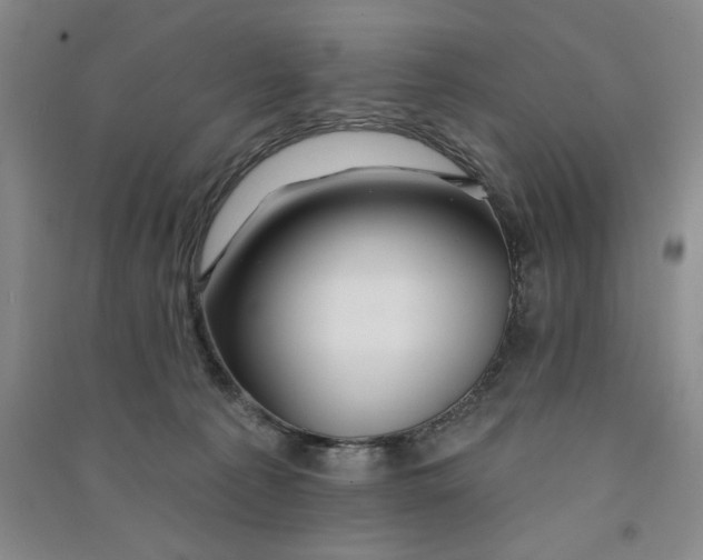 X0000090870225200708171632