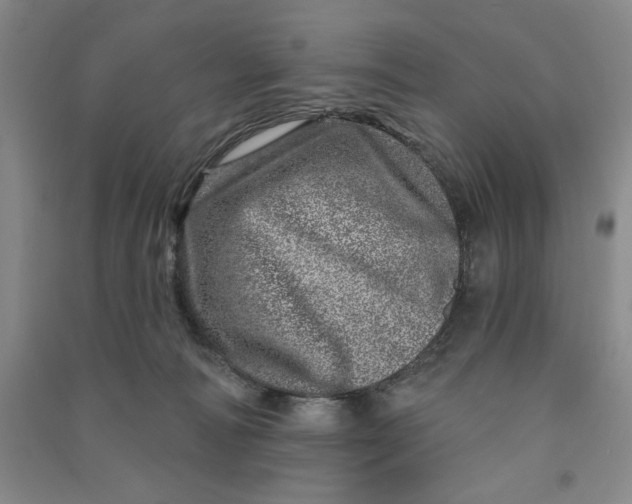 X0000090870226200708171632