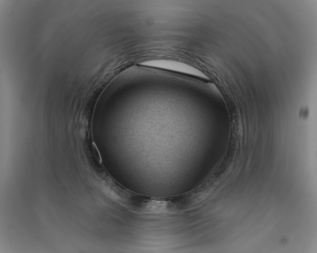 X0000090870227200708171632