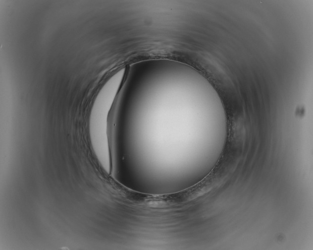 X0000090870228200708171632