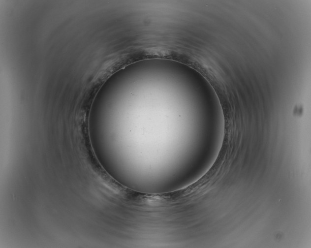 X0000090870229200708171632