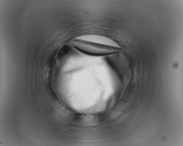 X0000090870230200708171632