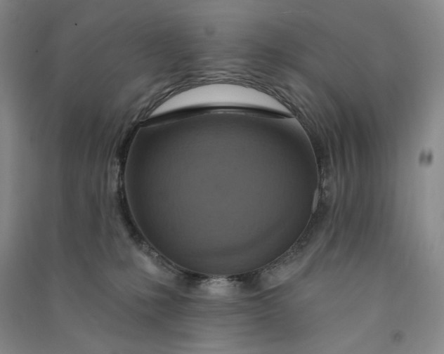 X0000090870231200708171632