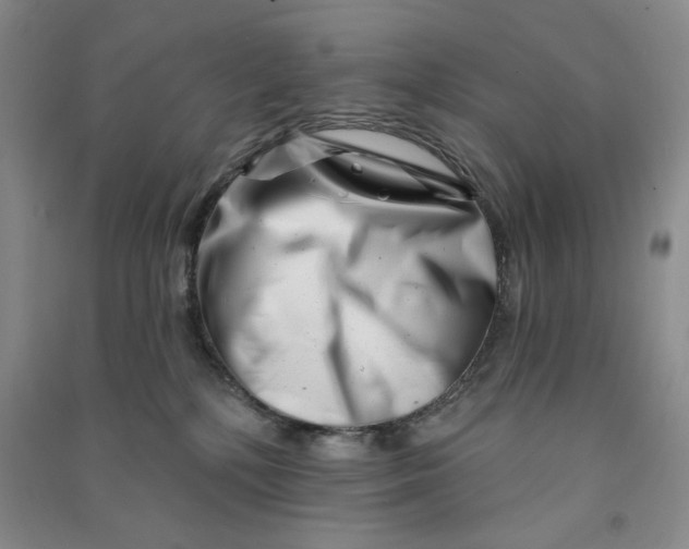 X0000090870232200708171632