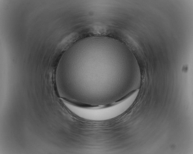 X0000090870233200708171632