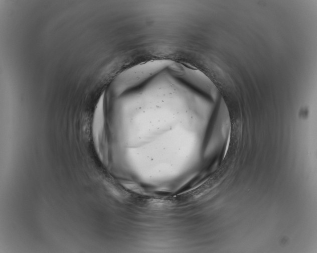 X0000090870234200708171632