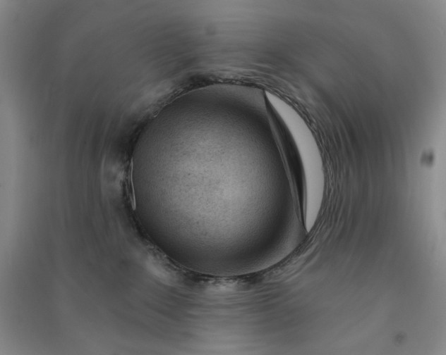 X0000090870235200708171632