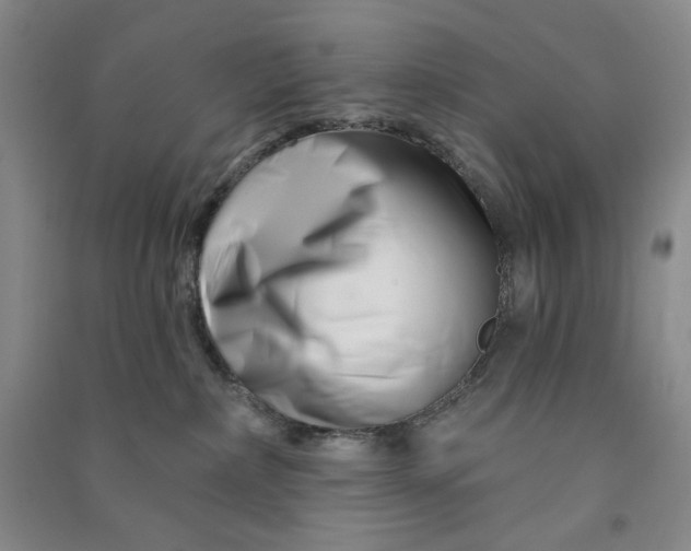 X0000090870236200708171632