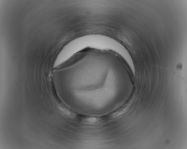 X0000090870237200708171632